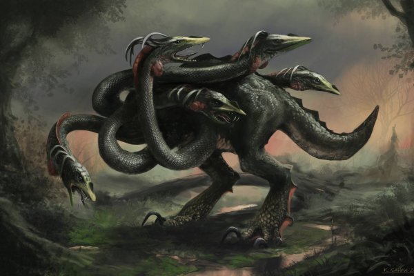 Kraken com darknet