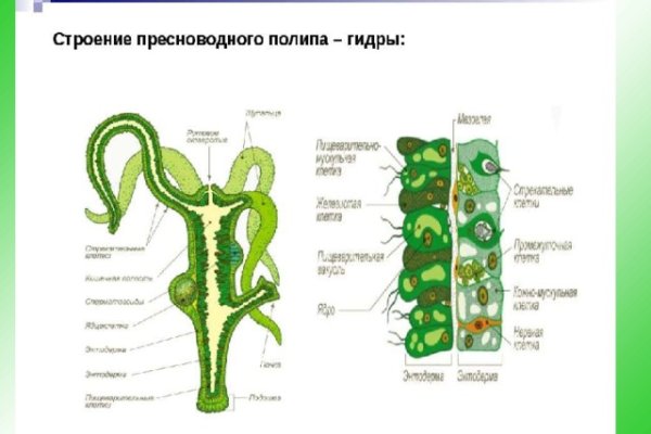 Кракен kr2web in маркетплейс