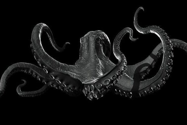 Kraken link